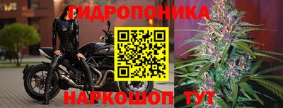 apvp Обь
