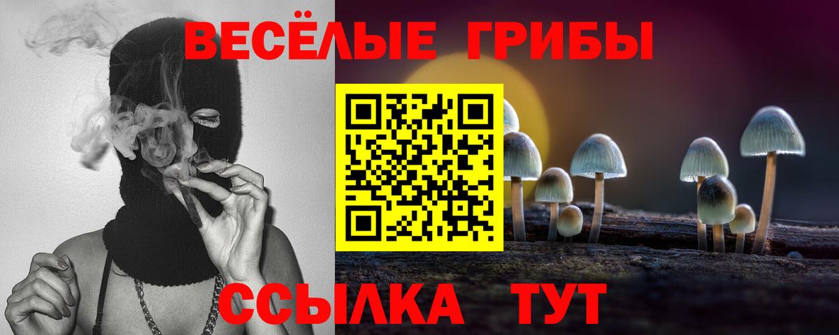 Печора  Псилоцибиновые грибы MAGIC MUSHROOMS  Вход с VPN 